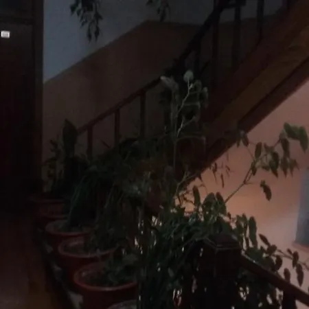 Pensao Avenida פנקובה