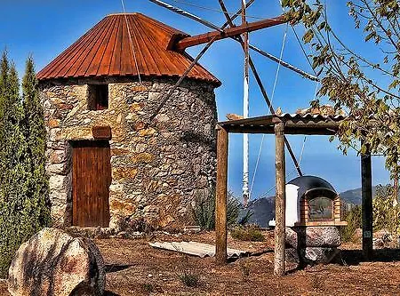 Pensao Avenida Penacova