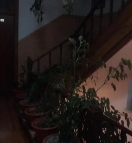 Pensao Avenida Penacova