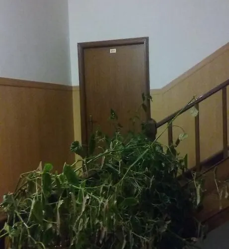 Gasthof Pensao Avenida *